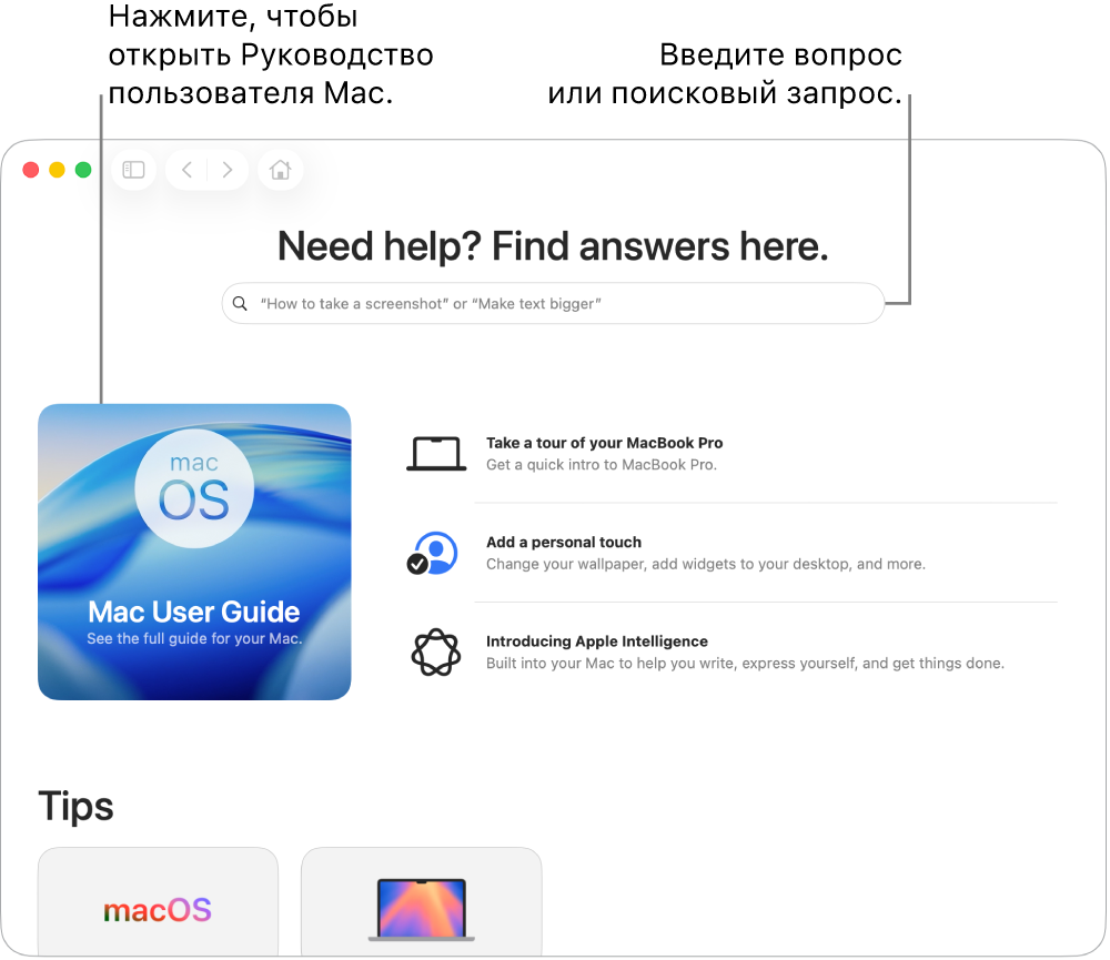 На главном экране приложения «Советы» показаны Руководство пользователя Mac, поле поиска и предлагаемые темы.