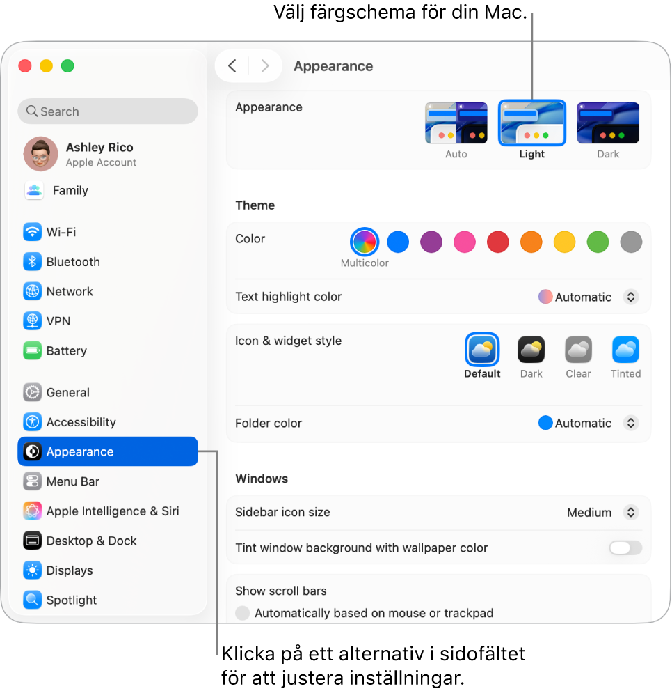 Systeminställningsfönstret.