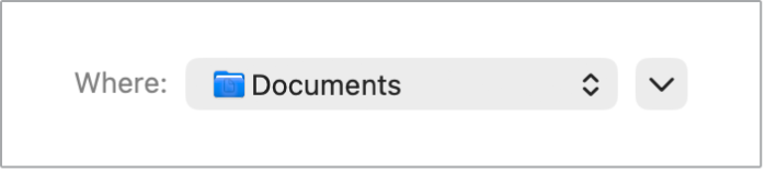 Example of a disclosure button in macOS.