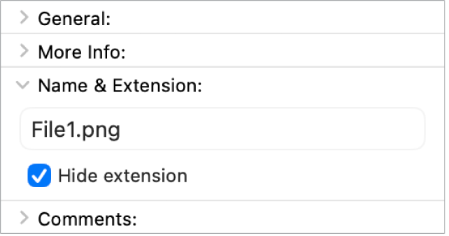 Example of a disclosure arrow in macOS.