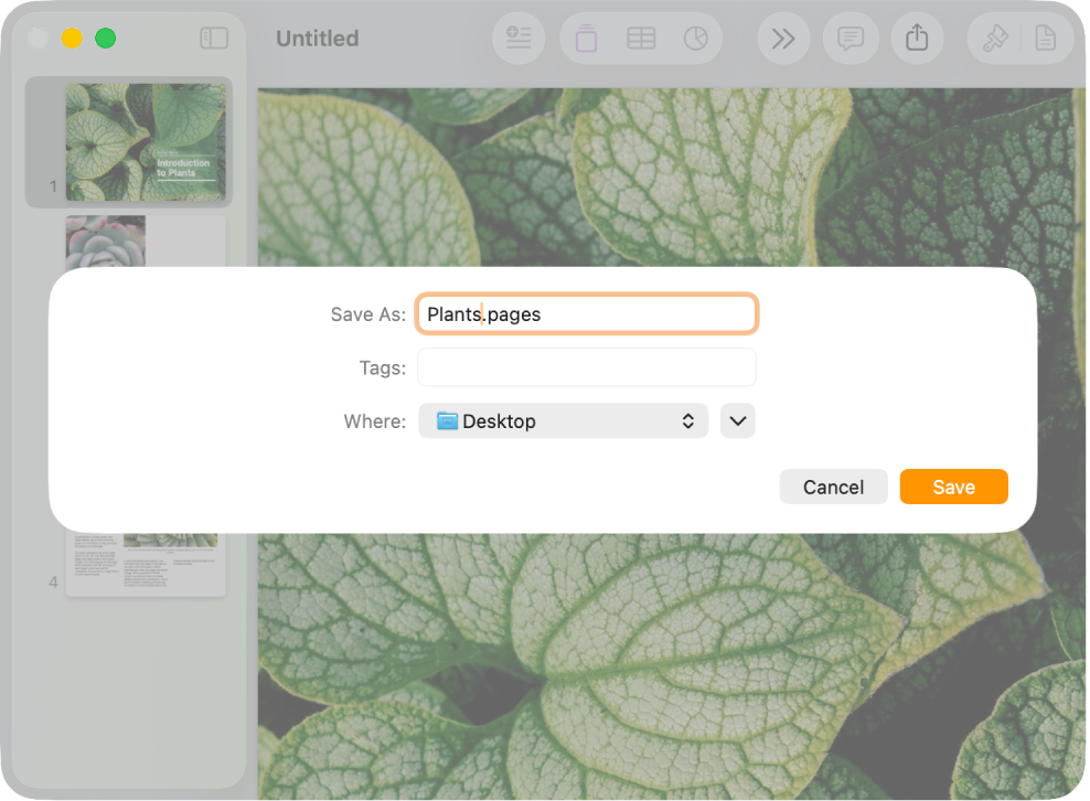 The Save dialog in a Pages document, with Cancel and Save buttons at the bottom.