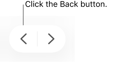 The Back button in the Safari window.