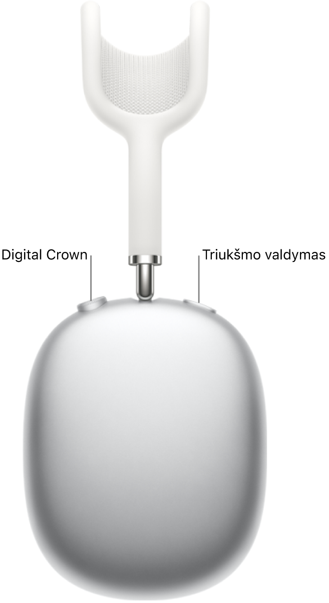 Dešiniosios „AirPods Max“ ausinėse viršuje kairėje rodomas „Digital Crown“, o viršuje dešinėje – triukšmo valdymo mygtukas.