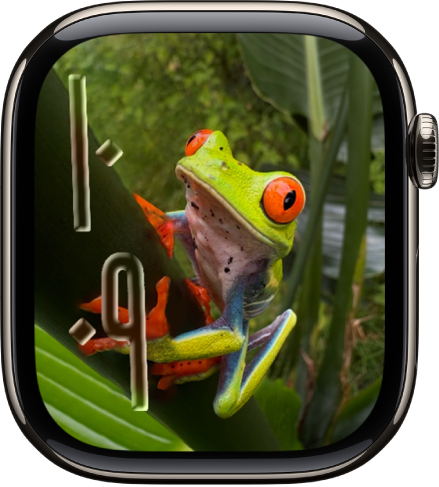 واجهة الساعة "الصور" تعرض صورة من ألبوم صور متزامن. يظهر الوقت على يمين الشاشة.