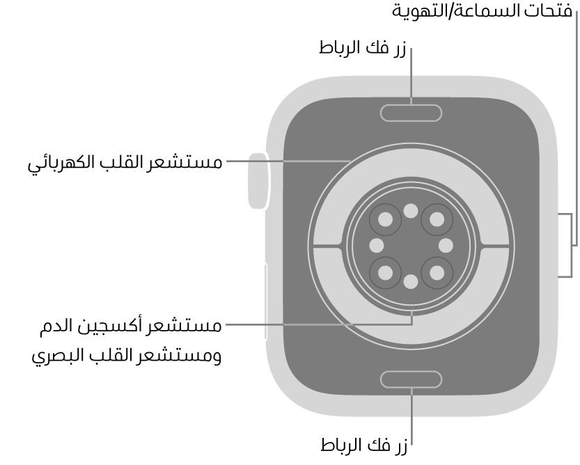 الجزء الخلفي من Apple Watch Series 11 ويظهر به زرا تعديل الرباط في الأعلى والأسفل ومستشعر نبض القلب الكهربائي ومستشعر القلب البصري ومستشعر أكسجين الدم وفتحات السماعة/التهوية على الجانب.