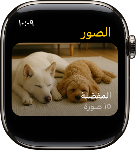 تطبيق الصور على Apple Watch يعرض ألبومًا يسمى المفضلة.