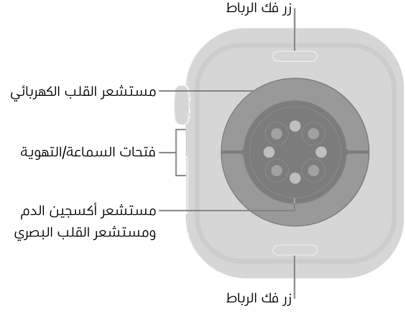 الجزء الخلفي من Apple Watch Series 10 ويظهر به زرا تعديل الرباط في الأعلى والأسفل ومجس القلب الكهربائي ومستشعر القلب البصري ومستشعر أكسجين الدم وفتحات السماعة/التهوية على الجانب.