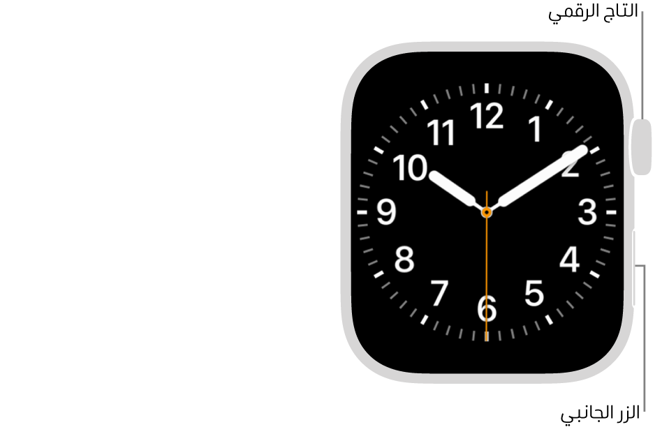 الجزء الأمامي من Apple Watch، ويظهر التاج الرقمي في الجزء العلوي على الجانب الأيسر من الساعة والزر الجانبي في أسفل اليسار.