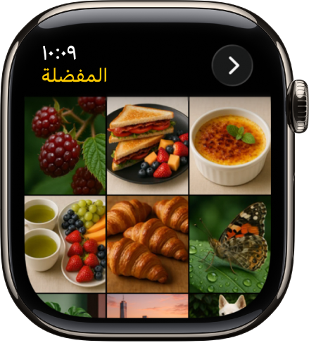 تطبيق الصور على Apple Watch يعرض ألبومًا يسمى المفضلة، مع عدة صور ظاهرة في شبكة.