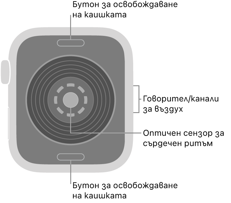 Задната страна на Apple Watch SE 3 с бутоните за освобождаване на каишката горе и долу, оптическия сензор за сърдечен ритъм в средата и говорителя/вентилационния отвор встрани.