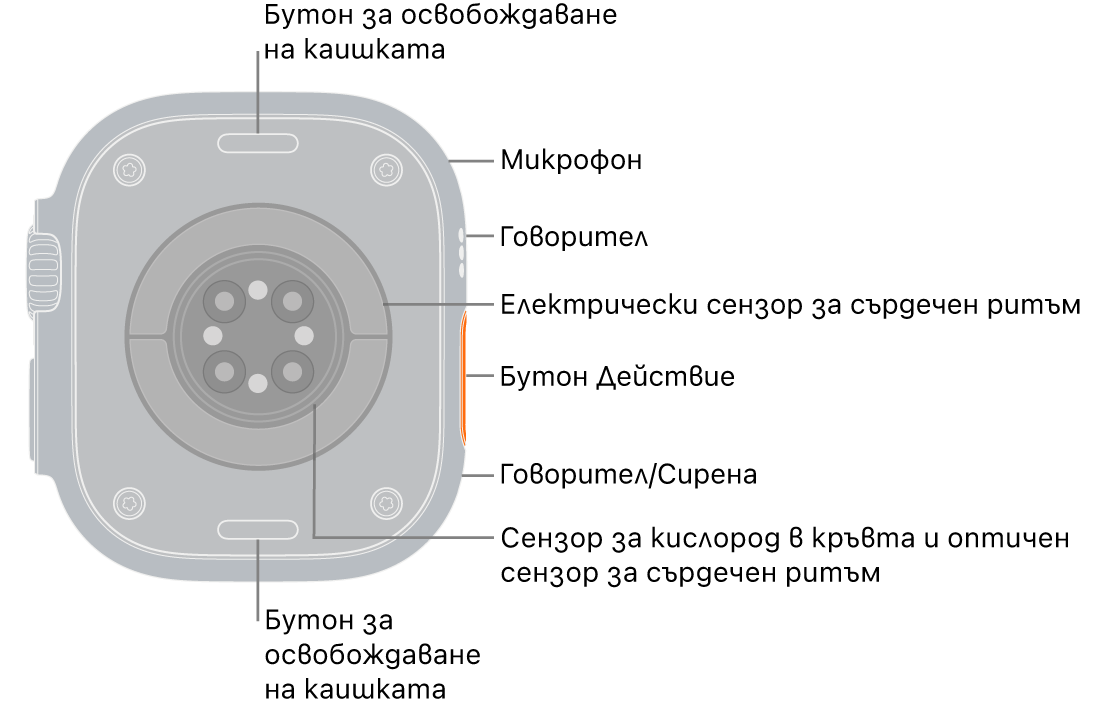 Задната страна на Apple Watch Ultra 3 с бутоните за освобождаване на каишката отгоре и отдолу. Отстрани има микрофон, високоговорител, електрически сензор за сърдечен ритъм, бутона Действие, порт за високоговорител, от където звучи сирената, сензори за кислорода в кръвта и оптични сензори за сърдечен ритъм.