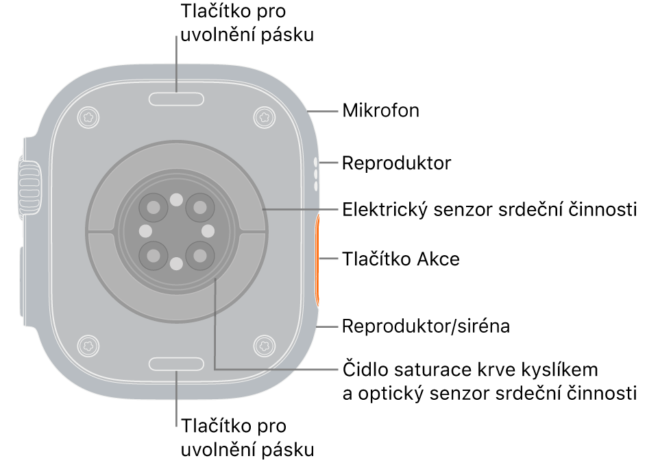 Zadní strana hodinek Apple Watch Ultra 3 s tlačítky pro uvolnění řemínku nahoře a dole. Na boku je mikrofon, reproduktor, elektrický snímač tepové frekvence, akční tlačítko, otvor reproduktoru, ze kterého vychází zvuk sirény, čidla pro měření hladiny kyslíku v krvi a optická čidla srdeční činnosti.
