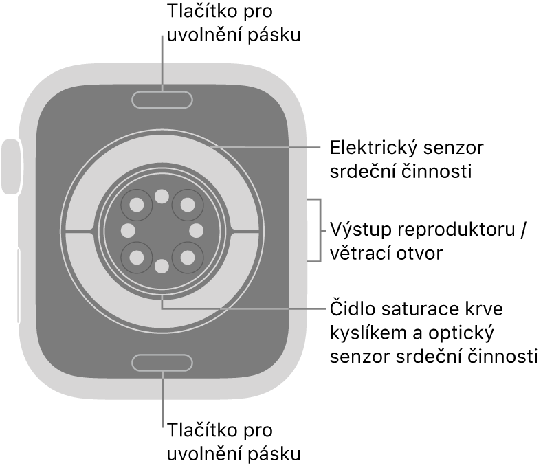 Zadní strana Apple Watch Series 11. Nahoře a dole tlačítka pro uvolnění řemínku, uprostřed elektrická čidla srdeční činnosti, optická čidla srdeční činnosti a čidla pro měření hladiny kyslíku v krvi, na boku pak reproduktor a větrací otvory.