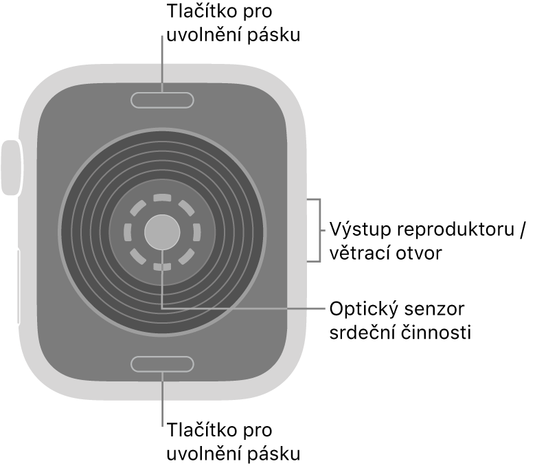 Zadní strana hodinek Apple Watch SE 3: nahoře a dole jsou tlačítka pro uvolnění řemínku, uprostřed optické čidlo srdeční činnosti a čidla pro měření hladiny kyslíku v krvi a na boku je reproduktor a větrací otvor.