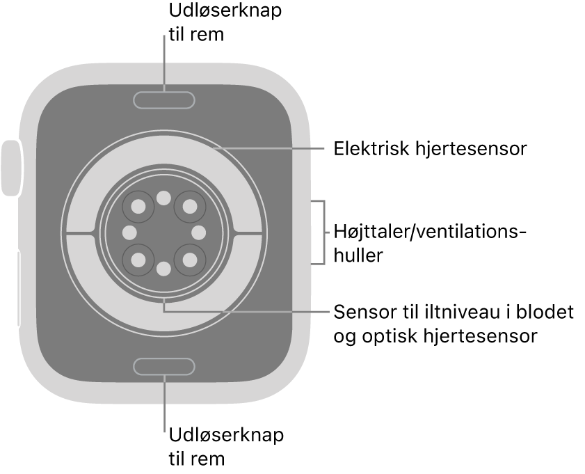 Bagsiden af Apple Watch Series 11 med udløserknapperne til remmen foroven og forneden, de elektriske pulsmålere, de optiske pulsmålere og sensorerne til iltniveau i blodet i midten og højttaleren/ventilationshullerne på siden.
