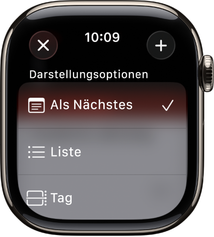 Die App „Kalender“ mit „Darstellungsoptionen“ – „Als Nächstes“, „Liste“ und „Tag“. Oben rechts befindet sich die Taste „Hinzufügen“.