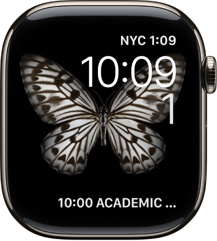 Das Zifferblatt „Bewegung“ zeigt eine Qualle. Du kannst auswählen, welches sich bewegende Objekt angezeigt wird und mehrere Komplikationen hinzufügen. Eine Komplikation „Timer“ befindet sich oben rechts, darunter sind Uhrzeit und Datum zu sehen und unten befindet sich eine Komplikation „Stoppuhr“.