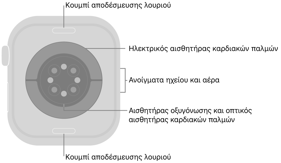 Το πίσω μέρος του Apple Watch Series 10, με τα κουμπιά αποδέσμευσης λουριού πάνω και κάτω, τους ηλεκτρικούς αισθητήρες καρδιάς, τους οπτικούς αισθητήρες καρδιάς και τους αισθητήρες οξυγόνωσης στο κέντρο, και τα ανοίγματα ηχείου/αερισμού στο πλάι.
