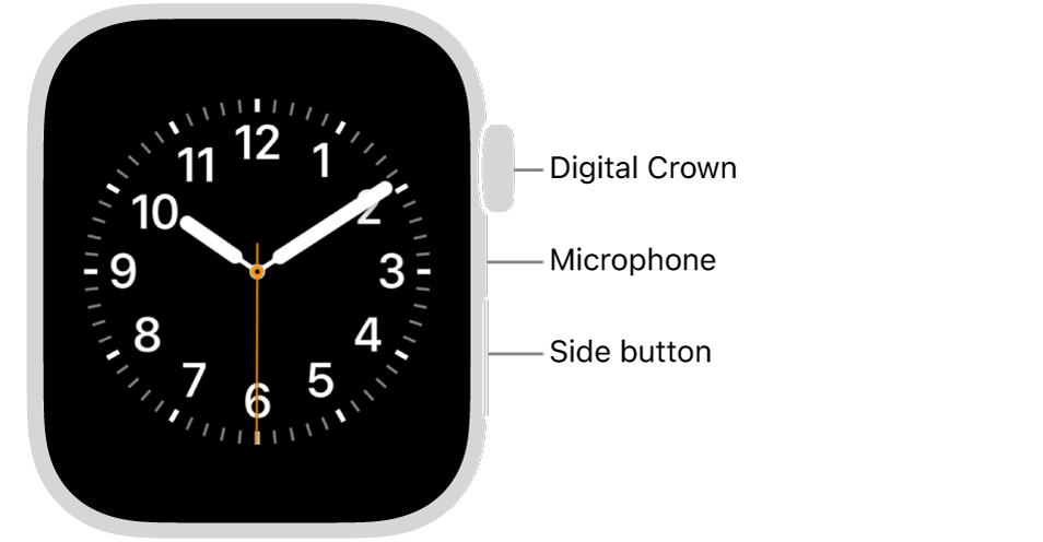 The front of Apple Watch SE 3, with the display showing the watch face, and the Digital Crown, microphone, and side button from top to bottom on the side of the watch.