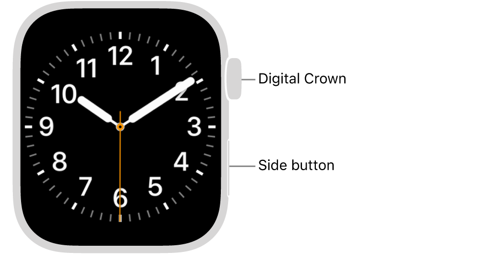 The front of Apple Watch, with the Digital Crown shown at the top on the right side of the watch and the side button shown at the bottom right.