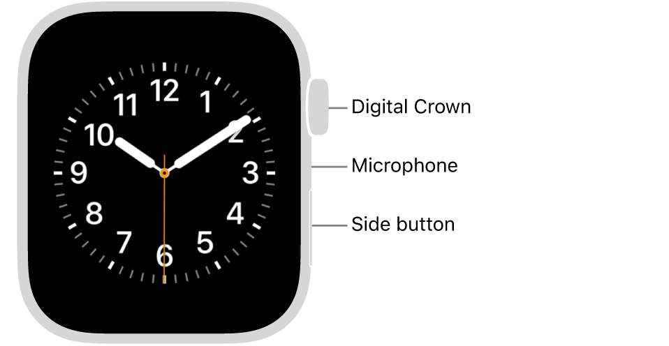 The front of Apple Watch Series 6, with the display showing the watch face, and the Digital Crown, microphone, and side button from top to bottom on the side of the watch.