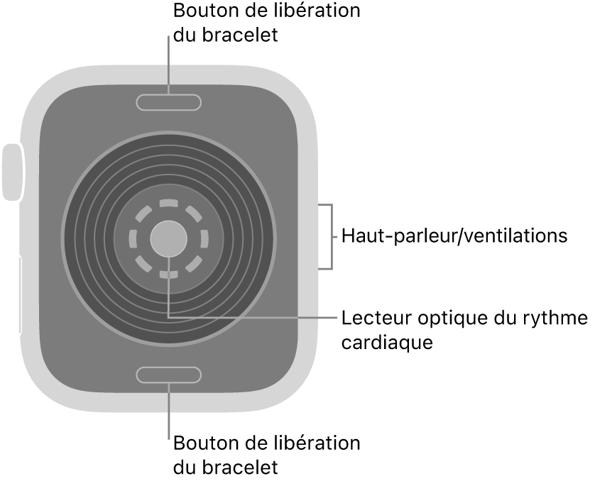 Le dos de l’Apple Watch SE 3, avec les boutons de retrait du bracelet en haut et en bas, le capteur de fréquence cardiaque optique au centre, puis le haut-parleur et les évents sur le côté.