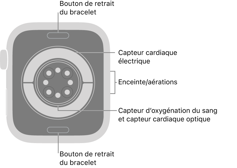 L’arrière de l’Apple Watch Series 11, avec les boutons de retrait du bracelet en haut et en bas, les capteurs électriques de fréquence cardiaque, les capteurs optiques de fréquence cardiaque et les capteurs d’oxygénation du sang au milieu, ainsi que le haut-parleur et les aérations sur le côté.