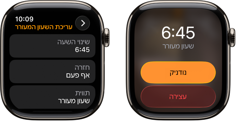 שני מסכי שעון: באחד מהם מוצגים עיצוב שעון עם הכפתורים ״נודניק״ ו״עצור״ ובשני מוצגות הגדרות ״ערוך שעון מעורר״ ומתחת הכפתורים ״שנה/י שעה״, ״חזרה״ ו״תווית״. בחלק התחתון נמצא בורר ״נודניק״.