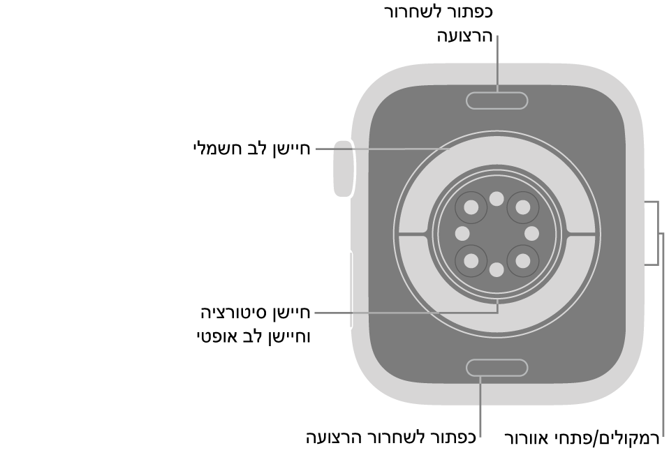 תצוגה אחורית של ה‑Apple Watch Series 11 עם כפתורי שחרור הרצועה למעלה ולמטה, עם חיישני הדופק האלקטרוניים, חיישני הדופק האופטיים וחיישני רמת החמצן בדם בחלק המרכזי, ועם הרמקול/פתחי האוורור בצד.