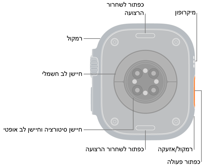 תצוגה אחורית של ה‑3 Apple Watch Ultra, עם כפתורי שחרור הרצועה למעלה ולמטה. בצד השעון נמצאים מיקרופון, רמקול, חיישן הדופק האלקטרוני, הכפתור ״פעולה״, יציאת רמקול שמשמיע את האזעקה, חיישני רמת החמצן בדם וחיישני דופק אופטיים.