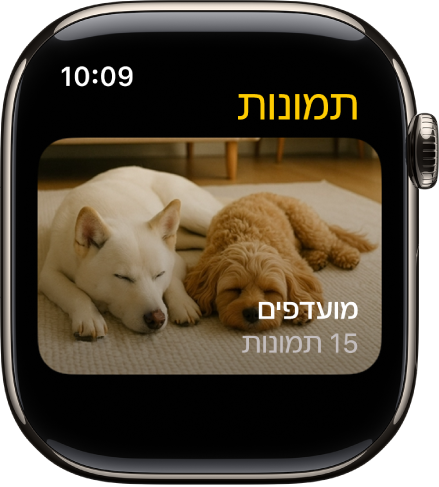 היישום ״תמונות״ ב‑Apple Watch מציג אלבום בשם ״מועדפים״.