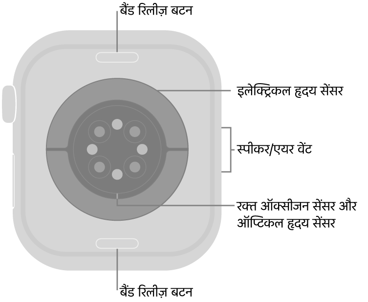 Apple Watch Series 10 का पीछे का हिस्सा, जिसमें शीर्ष पर और नीचे की ओर बैंड रिलीज़ करें बटन, बीच में इलेक्ट्रिकल हृदय सेंसर, ऑप्टिकल हृदय सेंसर और रक्त ऑक्सीजन सेंसर और साइड में स्पीकर/ एयर वेंट हैं।