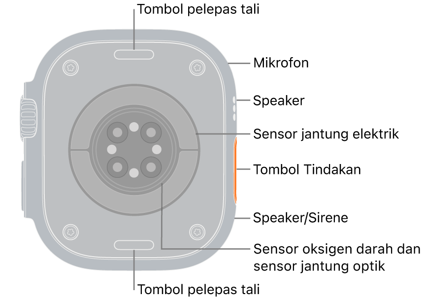Bagian belakang Apple Watch Ultra 3, dengan tombol lepas tali di bagian atas dan bawah. Di bagian samping terdapat mikrofon, speaker, sensor jantung listrik, tombol Tindakan, port speaker sumber sirene, sensor oksigen darah, dan sensor jantung optik.