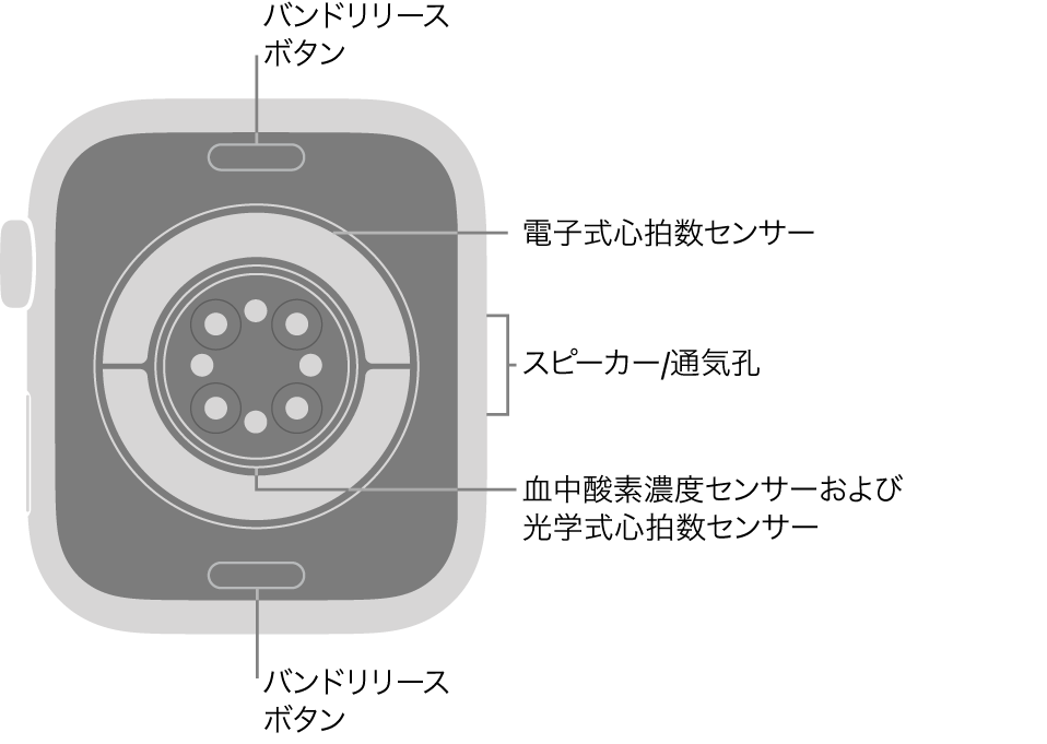 Apple Watch Series 11の背面で、上下にバンドリリースボタン、中央に電気式心拍数センサー、光学式心拍数センサー、血液酸素ウェルネスセンサー、側面にはスピーカー/通気孔があります。