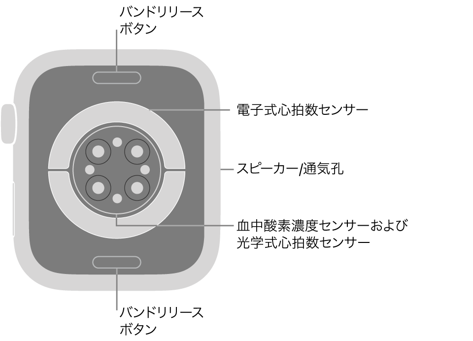 Apple Watch Series 9の背面で、上下にバンドリリースボタン、中央に電気式心拍数センサー、光学式心拍数センサー、血液酸素ウェルネスセンサー、側面にはスピーカー/通気孔があります。