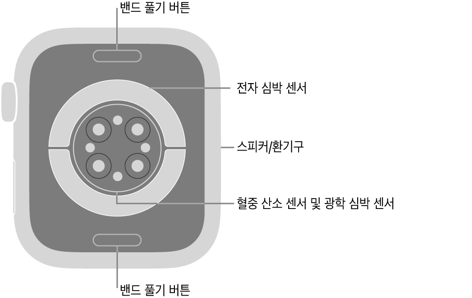상단 및 하단에 밴드 풀기 버튼, 중앙에 전자 심장 센서, 광학 심장 센서 및 혈중 산소 센서, 측면에 스피커/환기구가 보이는 Apple Watch Series 9의 후면.