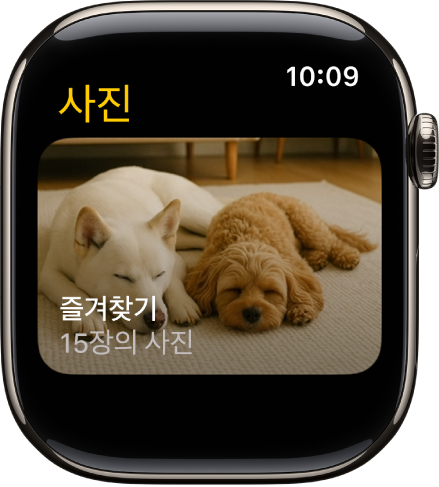 즐겨찾기라는 앨범을 보여주는 Apple Watch의 사진 앱.
