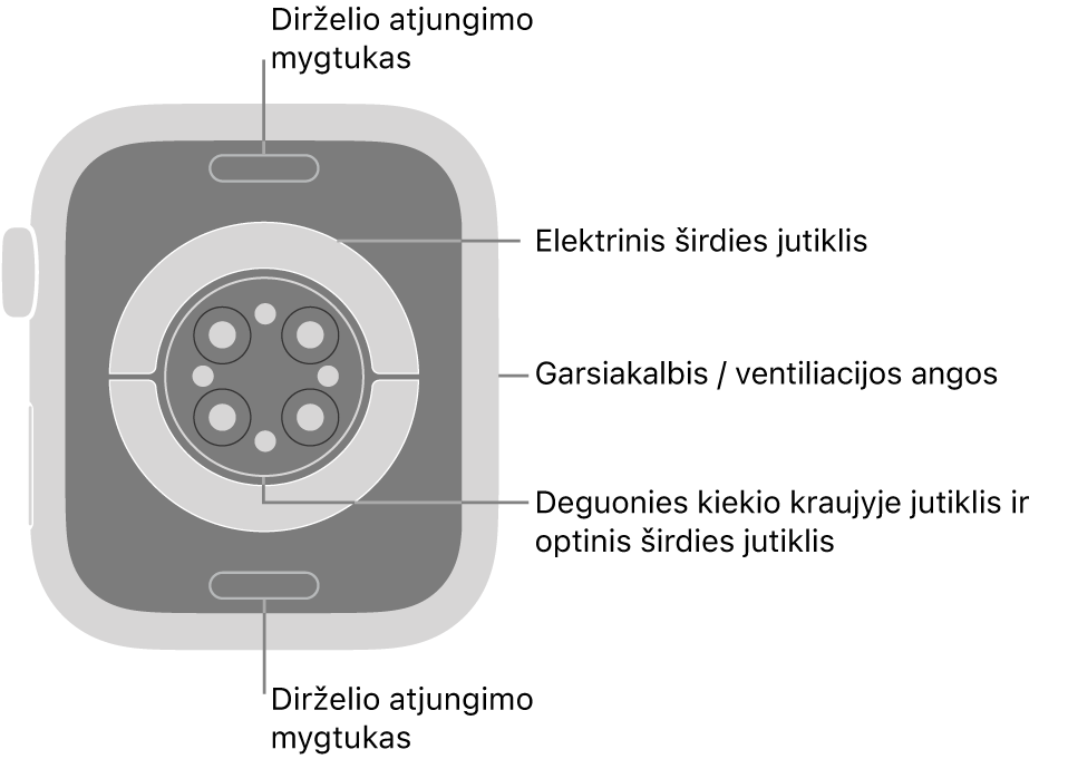 „Apple Watch Series 9“ galinė pusė, dirželio atjungimo mygtukai viršuje ir apačioje, elektriniai širdies jutikliai, optiniai širdies jutikliai ir deguonies kraujyje matavimo jutikliai viduryje bei garsiakalbis / ventiliacijos angos šone.