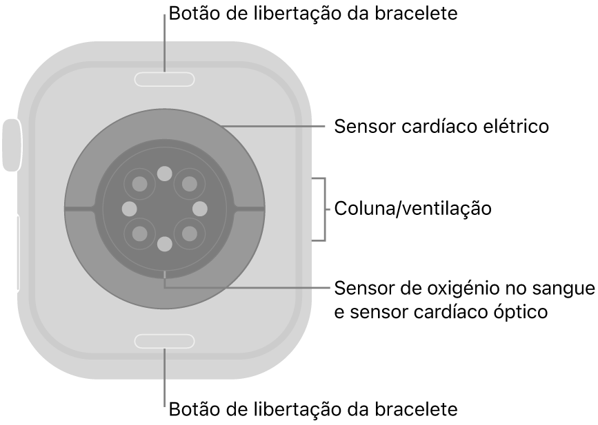 Apple Watch Series 10 visto de trás com os botões de libertação da bracelete na parte superior e na parte inferior, os sensores cardíacos elétricos, os sensores cardíacos óticos e os sensores de oxigénio no sangue ao meio e a coluna/ventilação na parte lateral.