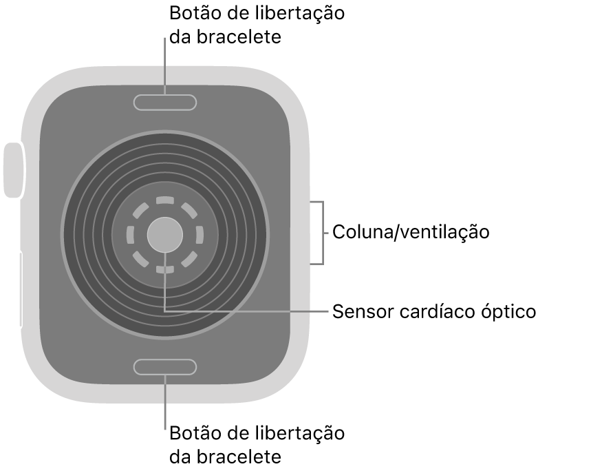 Apple Watch SE 3 visto de trás, com os botões de libertação da bracelete na parte superior e na parte inferior, o sensor cardíaco ótico ao meio, e a coluna/ventilação na parte lateral.