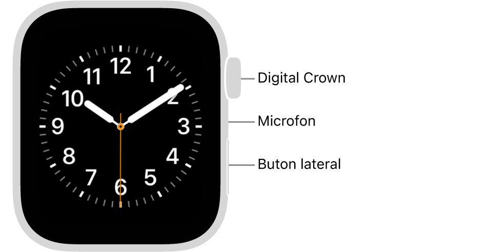 Partea frontală a dispozitivului Apple Watch SE 3, prezentând pe afișaj cadranul ceasului și coroana Digital Crown, microfonul și butonul lateral, de sus în jos, pe partea laterală a Watch‑ului.