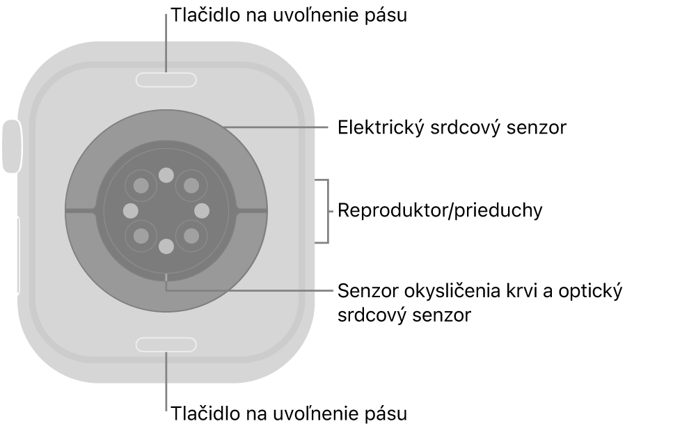Zadná strana hodiniek Apple Watch Series 10. Navrchu a naspodku sa nachádzajú tlačidlá na uvoľnenie remienka. V strede sú umiestnené elektrické srdcové senzory, optické srdcové senzory a senzory saturácie kyslíkom a naboku reproduktor/prieduchy.
