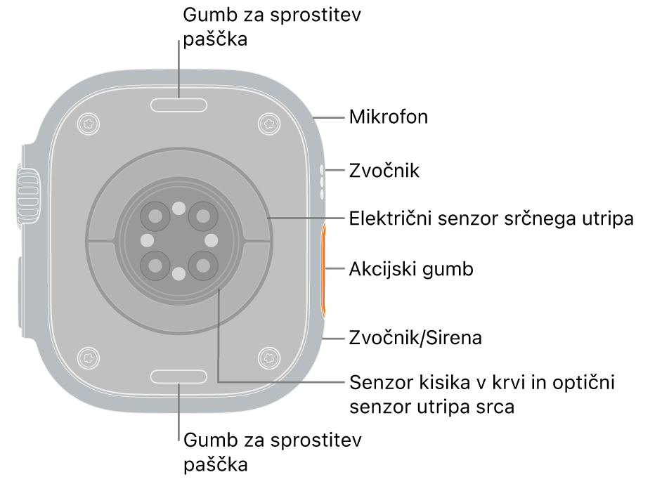 Hrbtni del ure Apple Watch Ultra 3 z gumboma za odpenjanje paščka zgoraj in spodaj. Na strani so mikrofon, zvočnik, električni senzor srčnega utripa, akcijski gumb, vrata zvočnika, prek katerega se oglaša sirena, senzorje kisika v krvi in optične senzorje srčnega utripa.