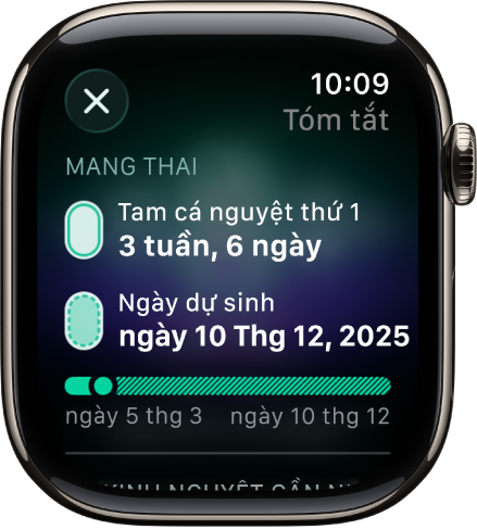 Một màn hình trong ứng dụng Theo dõi chu kỳ đang hiển thị một tóm tắt thai kỳ, với tuổi thai và ngày dự sinh ở chính giữa màn hình.