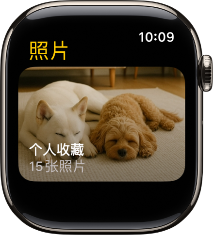 Apple Watch 上的“照片” App 显示名为“个人收藏”的相簿。