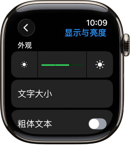 Apple Watch 上的“显示与亮度”设置，顶部是“亮度”滑块，下方是“文字大小”按钮。