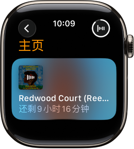 “有声书”屏幕显示当前播放中的有声书,包括书名和剩余时间。右上方为“播放中”按钮。