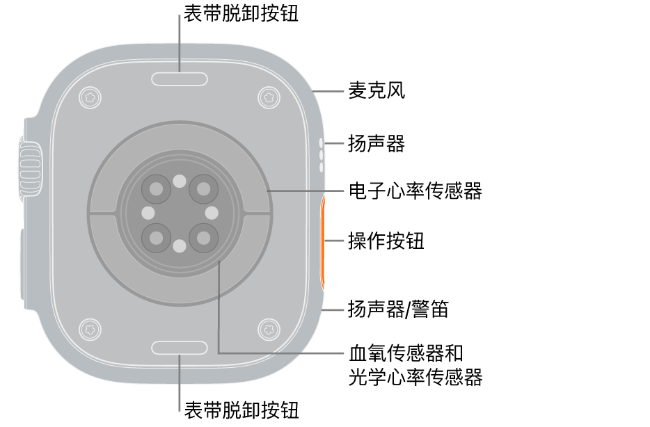Apple Watch Ultra 3 表背,顶部和底部是表带脱卸按钮。侧边是麦克风、扬声器、电子心率传感器、操作按钮、警笛发声位置的扬声器端口、血氧传感器和光学心率传感器。