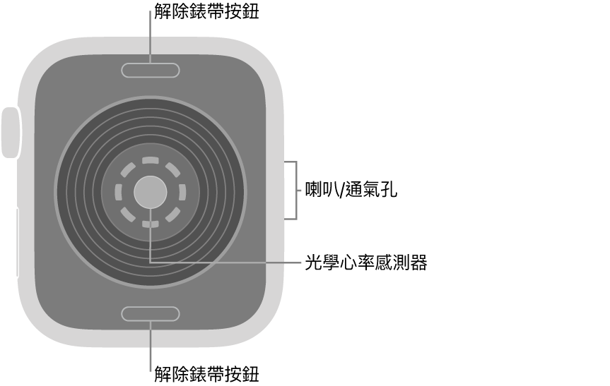 Apple Watch SE 3 的背面,在頂部和底部的解除錶帶按鈕,中間的光學心率感測器,以及側邊的喇叭/通氣孔。