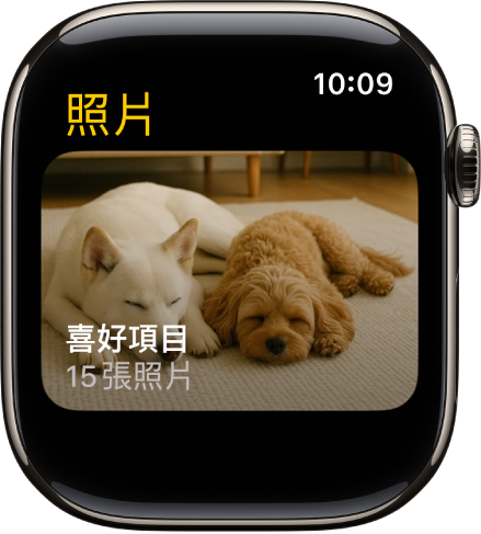 Apple Watch 上的「照片」App 顯示叫做「喜好項目」的相簿。
